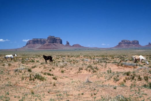 Monument Valley