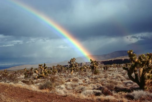 Rainbow in desert, Nevada