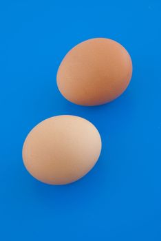 Two eggs isolated on blue background.
