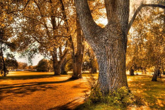 beautiful autumn landscape is shown