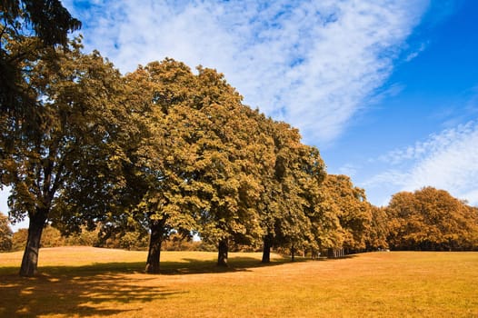 beautiful autumn landscape is shown