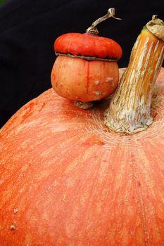 Pumpkin and other autumn things composition. Fall and Halloween concept.