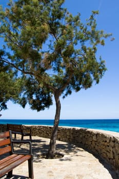 Sea view from the promenade of cala millor