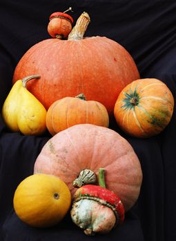 Pumpkin and other autumn things composition. Fall and Halloween concept.