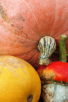 Pumpkin and other autumn things composition. Fall and Halloween concept.