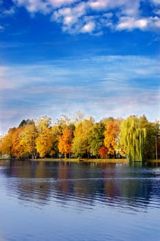 Colorful autumn scene