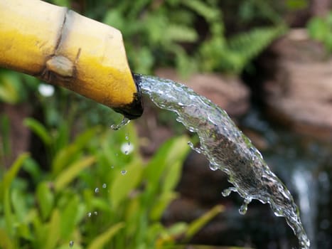 Pure water coming out from a yellow bamboo shot  in a Chinese garden