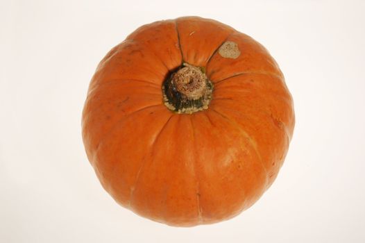 Pumpkin - autumn and halloween symbol