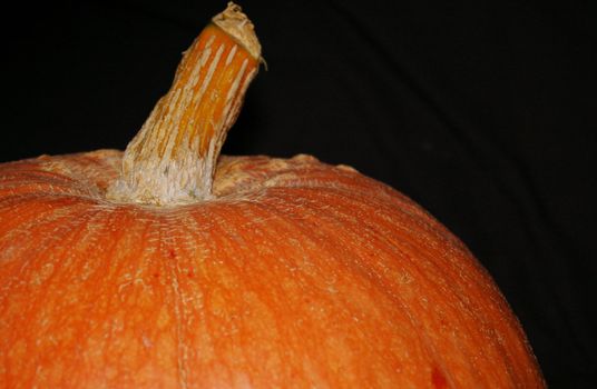 Pumpkin - autumn and halloween symbol