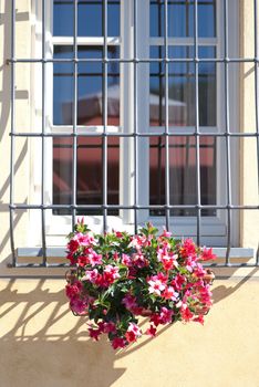 Contryside House Window with Flowers, Italy