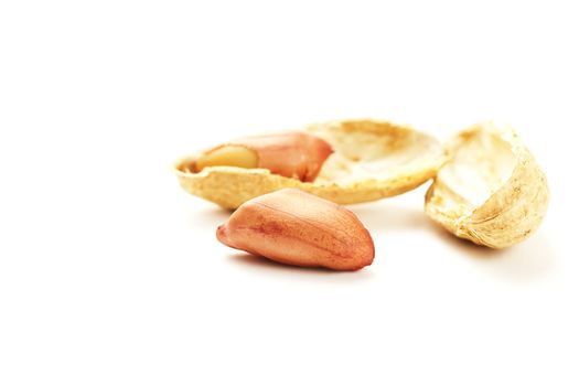 closeup of a peanut in front of shell and cracked shell on white background