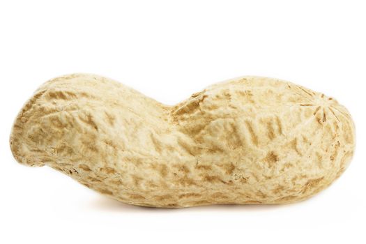 closeup of a peanut on white background