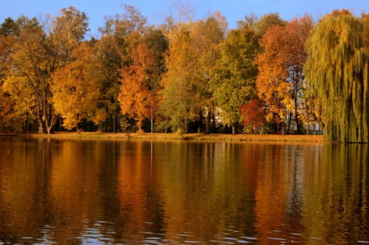 Colorful autumn scene