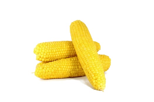 Cooked corn cob sweetcorn isolated on white