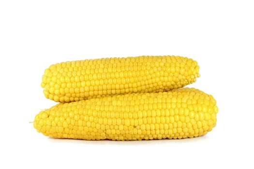 Cooked corn cob sweetcorn isolated on white