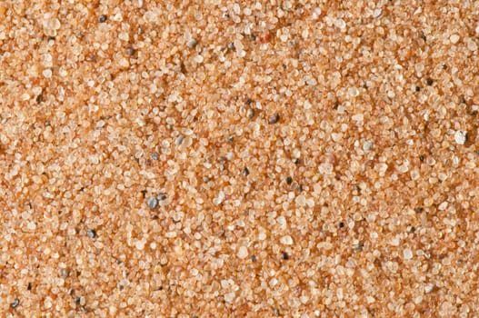 Closeup of Red sand of the desert