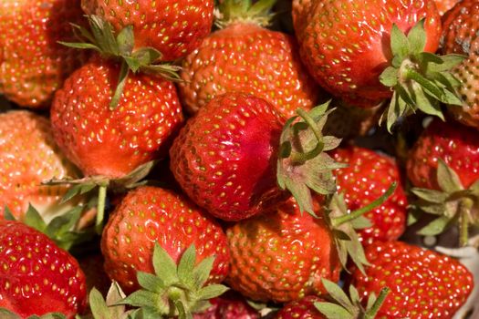food series: freshly grown tasty strawberry texture