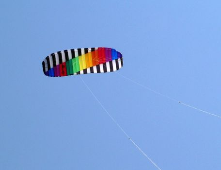 The kite risen skyward.