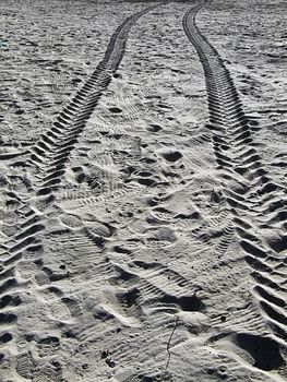 Tyre tracks imprinted in the Sahara desert sands