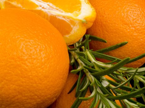 Closeup picture of oranges and fresh rosemary