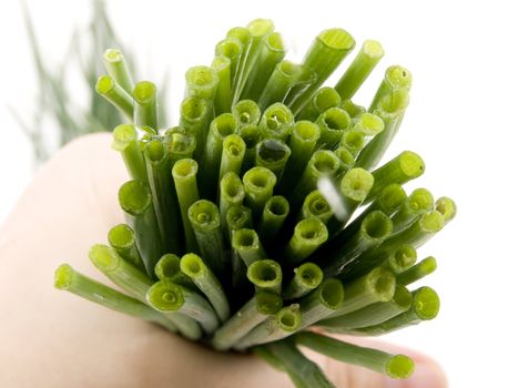 Closeup picture of fresh chives on white background