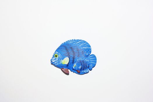 little colorful tropical fish on a white background