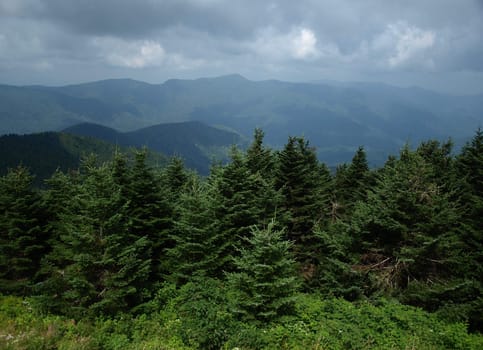 View along the trail up Mt. Mitchell in North Carolina