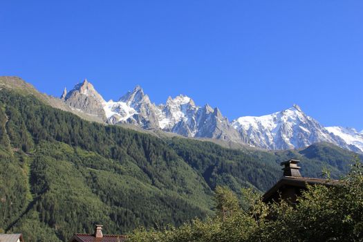 mountain and trees