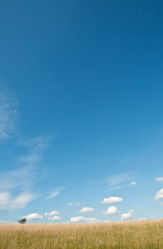 clouds on a blue summer sky