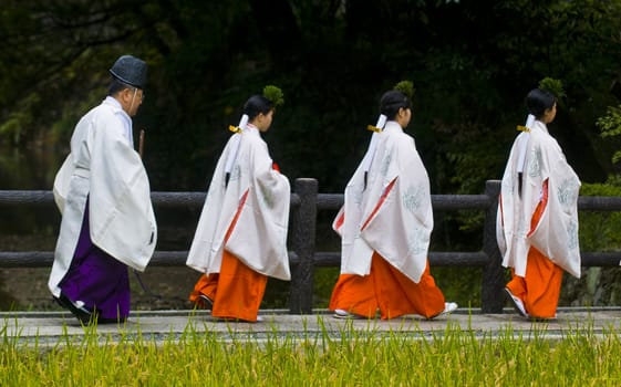 Kyoto, OCT  25: a participants on the rice harvest ceremony held on October 25 2009  in Fushimi Inari shrine in Kyoto, Japan