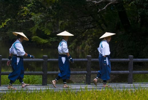 Kyoto, OCT  25: a participants on the rice harvest ceremony held on October 25 2009  in Fushimi Inari shrine in Kyoto, Japan