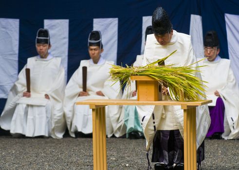 Kyoto, OCT  25: a participants on the rice harvest ceremony held on October 25 2009  in Fushimi Inari shrine in Kyoto, Japan