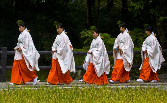 Kyoto, OCT  25: a participants on the rice harvest ceremony held on October 25 2009  in Fushimi Inari shrine in Kyoto, Japan