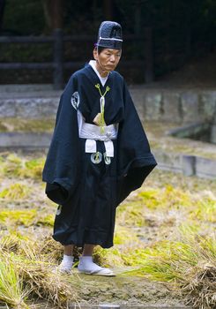 Kyoto, OCT  25: a participant on the rice harvest ceremony held on October 25 2009  in Fushimi Inari shrine in Kyoto, Japan