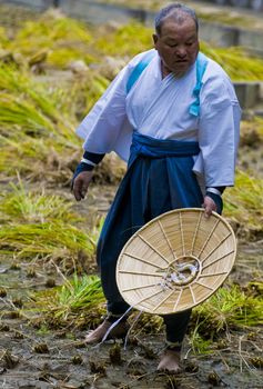 Kyoto, OCT  25: a participant on the rice harvest ceremony held on October 25 2009  in Fushimi Inari shrine in Kyoto, Japan