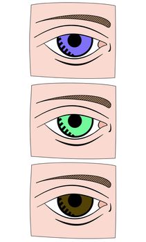 Illustration of 3 eyes 