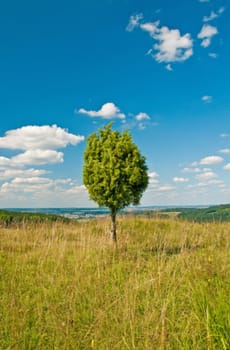 a panoramic view with clouds and a blue summer sky