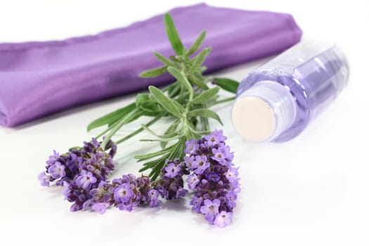 one bunch of fresh lavender and shower on a white background