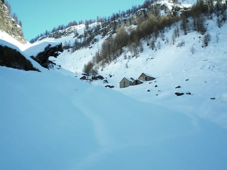 winter morning in alpe devero