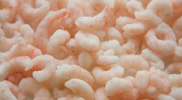 Close up on a lot of shrimps