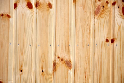 Wooden panel with visible nails
