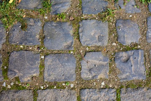 Grey Cobblestone walkway background texture pattern with plants growing through gaps.