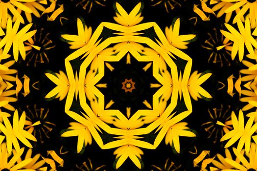 Kaleidoscopic altered image of Orange Coneflower (Rudbeckia fulgida), resembling a mandala