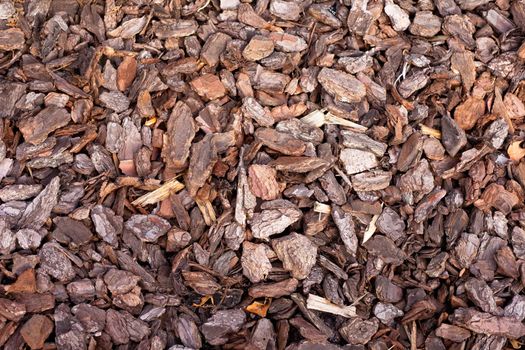 Pine bark mulch background texture pattern in outdoor garden.