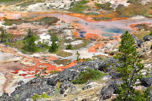 Beautiful colors of the Artist Paint Pots area in Yellowstone National Park - Wyoming.