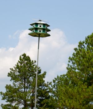 Large bird house and feeder on pole and set against blue sky