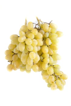 Grapes on a white background