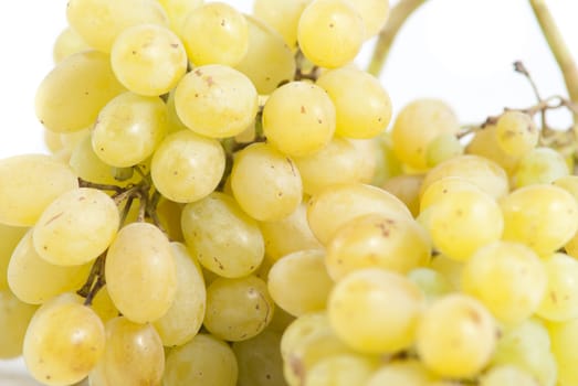 Grapes on a white background