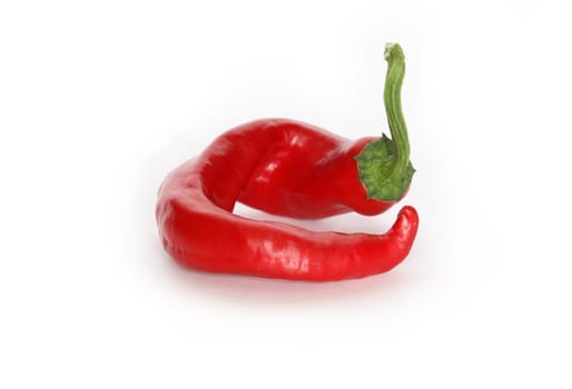 Red hot chili pepper lying on white background