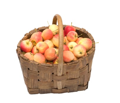 Wattled basket with ripe apples it is isolated on a white background.